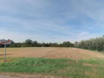 Prodej pozemku pro bydlení, Malšice, 2672 m2