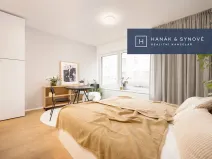 Pronájem bytu 1+kk, Brno, Cejl, 27 m2