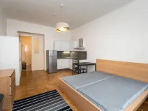 Pronájem bytu 1+kk, Praha - Nové Město, Lípová, 33 m2