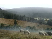 Prodej rodinného domu, Ostružná, 45 m2