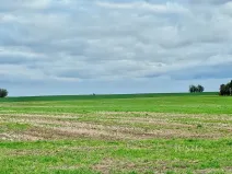 Prodej pole, Černuc, 7167 m2