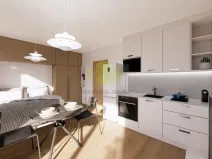 Prodej bytu 1+kk, Lipník nad Bečvou, Mánesova, 25 m2