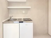 Pronájem bytu 1+kk, Praha - Podolí, Levá, 25 m2