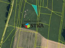 Prodej pole, Raškovice, 597 m2