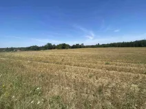 Prodej pole, Ostrovec - Dědovice, 34981 m2