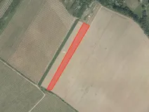 Prodej podílu pole, Znojmo, 25300 m2