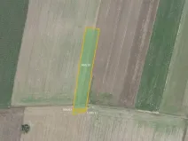 Prodej pole, Městec Králové, 17054 m2