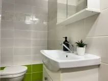 Pronájem bytu 1+1, Litvínov, Čapkova, 37 m2