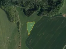 Prodej pole, Třemošnice, 41424 m2