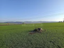 Prodej pozemku, Veverské Knínice, 2614 m2