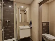 Pronájem bytu 1+kk, Praha - Vršovice, Novgorodská, 31 m2