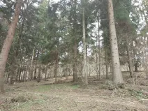 Prodej lesa, Francova Lhota, 5161 m2