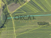 Prodej pole, Záhorovice, 6961 m2