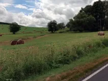 Dražba louky, Mnichov, 12065 m2