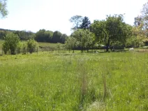 Prodej pozemku, Staré Křečany, 2931 m2