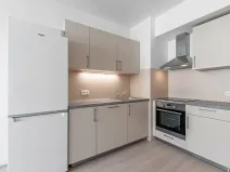 Pronájem bytu 1+kk, Praha - Vysočany, Svatošových, 32 m2