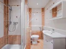 Prodej bytu 1+1, Rokycany, Pod Ohradou, 35 m2