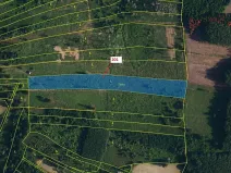 Dražba lesa, Loukovice, 7796 m2