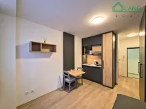 Pronájem bytu 1+kk, Brno, Francouzská, 20 m2