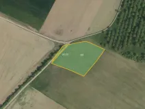 Prodej pole, Luže, 58496 m2