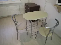 Pronájem bytu 1+kk, Liberec - Liberec I-Staré Město, Ruprechtická, 20 m2