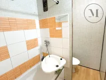 Prodej bytu 1+kk, České Budějovice, Fr. Ondříčka, 29 m2