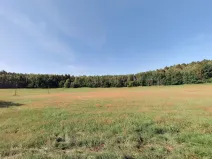 Prodej louky, Bílá, 2608 m2