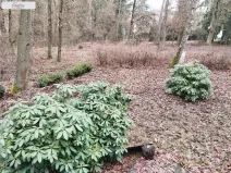 Prodej chaty, Vranov, 34 m2