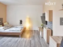 Pronájem bytu 1+kk, České Budějovice, K. V. Raise, 30 m2