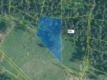 Dražba lesa, Kuřimany, 3688 m2