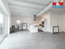 Pronájem bytu 3+kk, Ludgeřovice, Finské domky, 90 m2