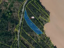 Dražba lesa, Náměšť nad Oslavou, 1796 m2
