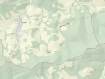 Dražba lesa, Zděchov, 1866 m2