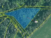 Dražba lesa, Kuřimany, 2947 m2