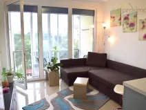 Pronájem bytu 1+kk, České Budějovice - České Budějovice 2, Fr. Ondříčka, 29 m2