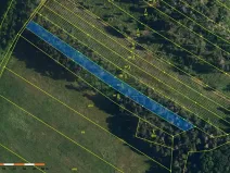 Prodej lesa, Dolní Vilémovice, 1844 m2