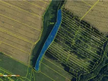 Prodej lesa, Dolní Vilémovice, 6622 m2