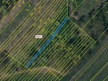 Dražba lesa, Březník, 234 m2