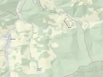 Dražba lesa, Zděchov, 435 m2