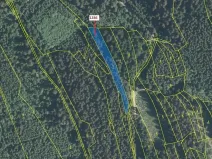 Dražba lesa, Lačnov, 2442 m2