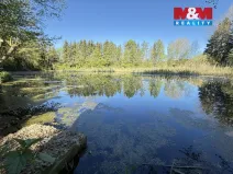 Prodej rybníku, Rychnov nad Kněžnou - Lipovka, 5965 m2