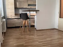 Prodej bytu 1+kk, Ostrava, Heleny Salichové, 27 m2