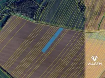 Prodej pole, Uherské Hradiště, 4181 m2