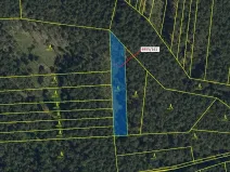 Dražba lesa, Vracov, 1702 m2