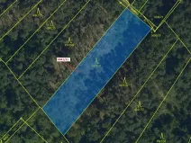 Dražba lesa, Vracov, 2231 m2