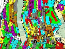 Dražba lesa, Psárov, 2949 m2