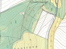 Dražba lesa, Jenišovice, 2305 m2