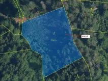 Dražba lesa, Jílové u Držkova, 3821 m2