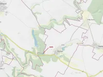 Dražba lesa, Mladoňovice, 1427 m2