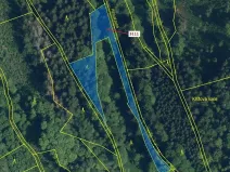 Dražba lesa, Benešov u Semil, 2958 m2